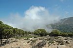 Ikaria